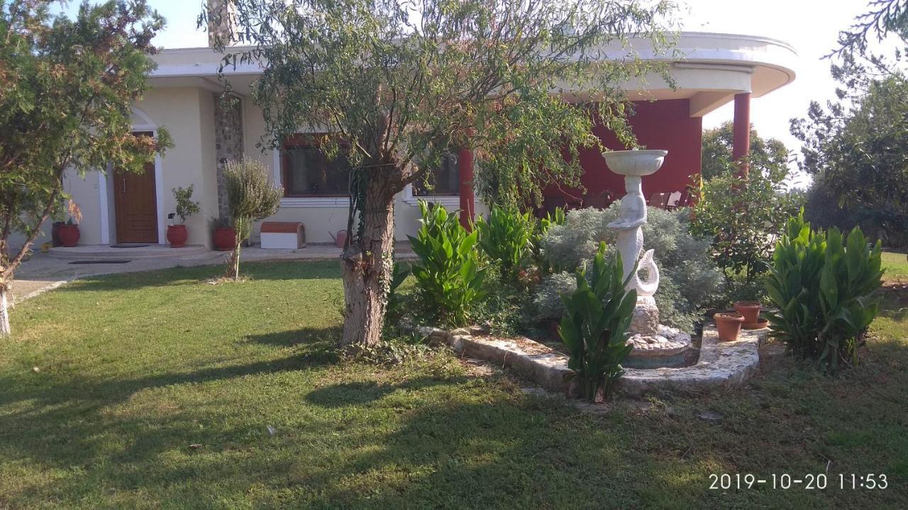 Villa Elly 克桑西 外观 照片